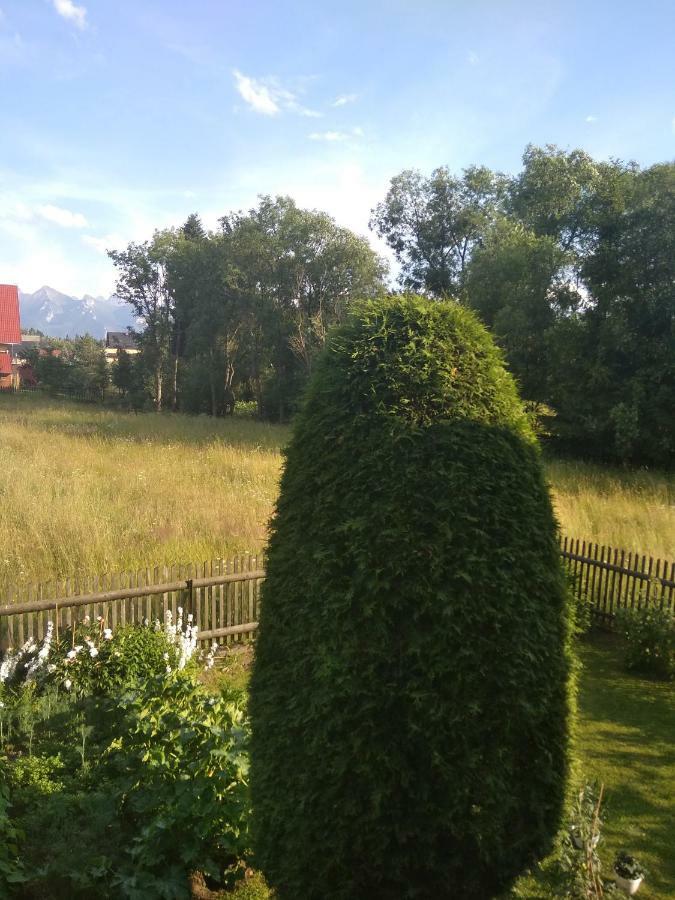Apartament Widok Czarna Góra Exterior foto